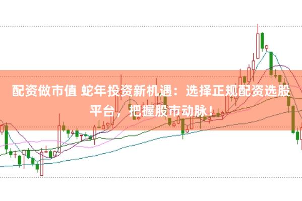 配资做市值 蛇年投资新机遇：选择正规配资选股平台，把握股市动脉！