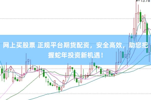 网上买股票 正规平台期货配资，安全高效，助您把握蛇年投资新机遇！