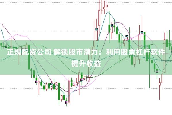 正规配资公司 解锁股市潜力：利用股票杠杆软件提升收益