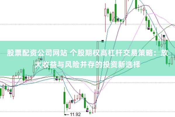 股票配资公司网站 个股期权高杠杆交易策略：放大收益与风险并存的投资新选择