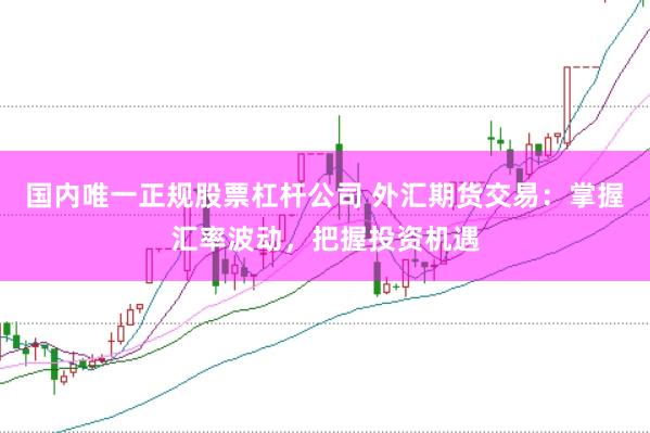 国内唯一正规股票杠杆公司 外汇期货交易：掌握汇率波动，把握投资机遇
