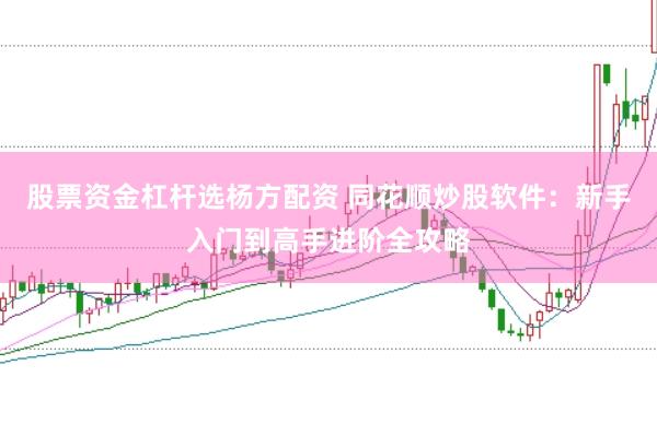 股票资金杠杆选杨方配资 同花顺炒股软件：新手入门到高手进阶全攻略