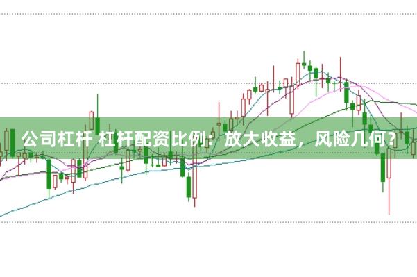 公司杠杆 杠杆配资比例：放大收益，风险几何？