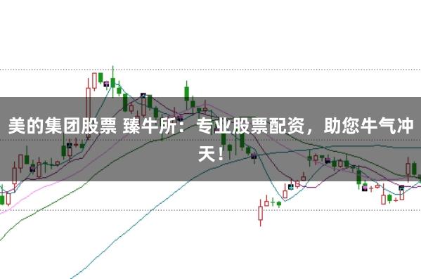 美的集团股票 臻牛所：专业股票配资，助您牛气冲天！