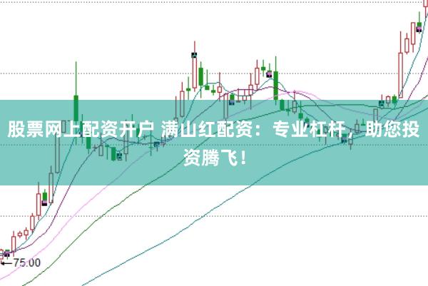 股票网上配资开户 满山红配资：专业杠杆，助您投资腾飞！