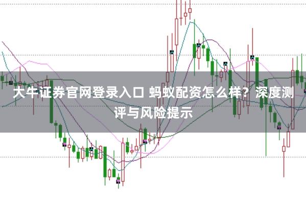 大牛证券官网登录入口 蚂蚁配资怎么样？深度测评与风险提示