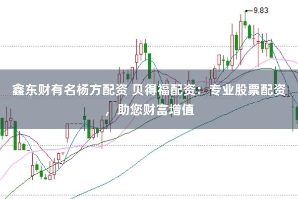 鑫东财有名杨方配资 贝得福配资：专业股票配资，助您财富增值