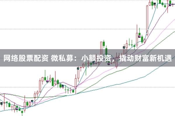 网络股票配资 微私募：小额投资，撬动财富新机遇