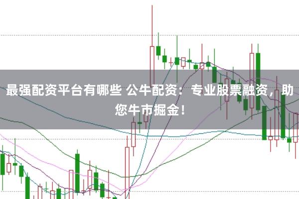最强配资平台有哪些 公牛配资：专业股票融资，助您牛市掘金！
