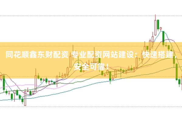 同花顺鑫东财配资 专业配资网站建设：快速搭建，安全可靠！