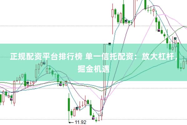 正规配资平台排行榜 单一信托配资：放大杠杆，掘金机遇