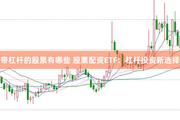 带杠杆的股票有哪些 股票配资ETF：杠杆投资新选择
