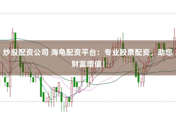 炒股配资公司 海龟配资平台：专业股票配资，助您财富增值！