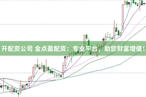 开配资公司 金点盈配资：专业平台，助您财富增值！
