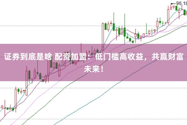 证券到底是啥 配资加盟：低门槛高收益，共赢财富未来！