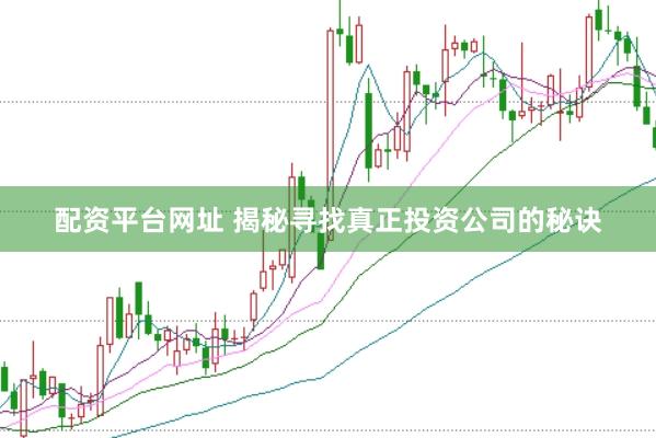 配资平台网址 揭秘寻找真正投资公司的秘诀