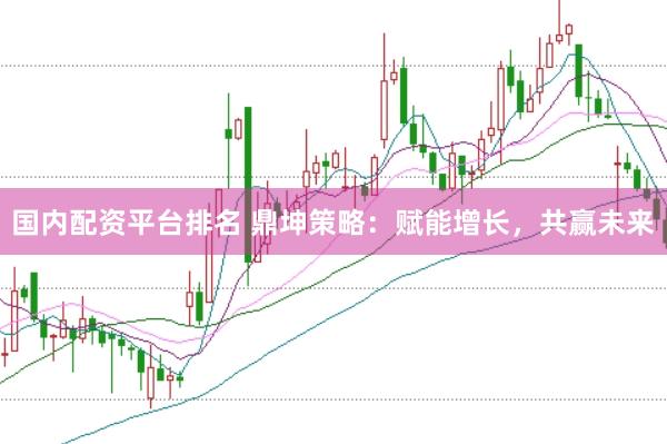 国内配资平台排名 鼎坤策略：赋能增长，共赢未来