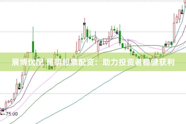 展博优配 昆明股票配资：助力投资者稳健获利