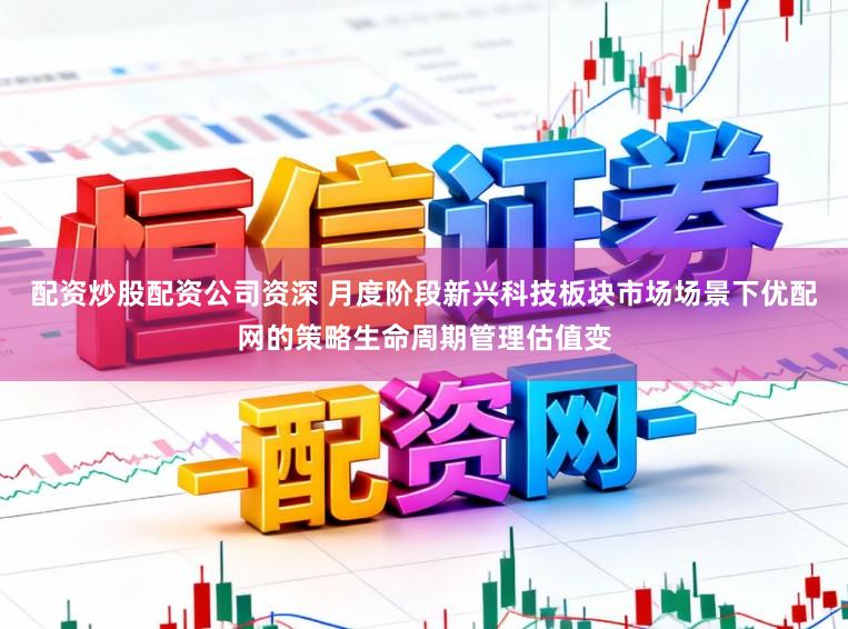 配资炒股配资公司资深 月度阶段新兴科技板块市场场景下优配网的策略生命周期管理估值变