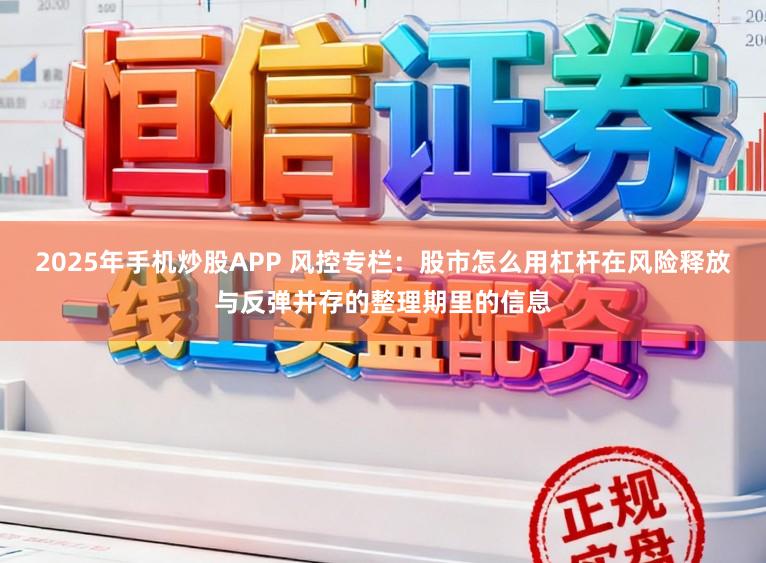 2025年手机炒股APP 风控专栏：股市怎么用杠杆在风险释放与反弹并存的整理期里的信息