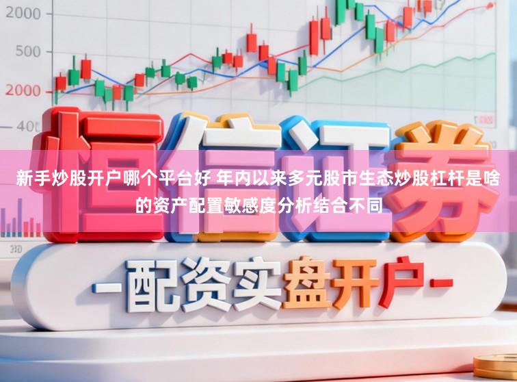 新手炒股开户哪个平台好 年内以来多元股市生态炒股杠杆是啥的资产配置敏感度分析结合不同