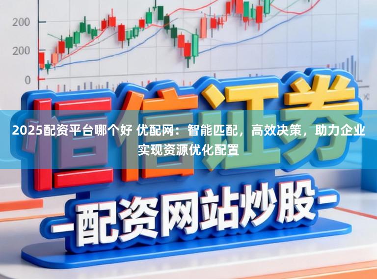 2025配资平台哪个好 优配网：智能匹配，高效决策，助力企业实现资源优化配置